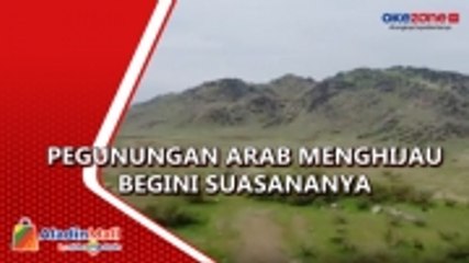 Biasanya Gersang, Pegunungan Arab Saudi Kini Menghijau, Begini Suasananya