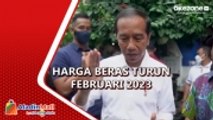 Presiden Jokowi Pastikan Harga Beras Turun Februari 2023