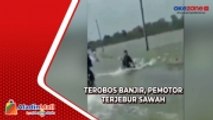 Nekat Terobos Banjir, Pemotor Terjebur Sawah di Grobogan