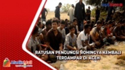 Ratusan Pengungsi Rohingya Kembali Terdampar di Aceh, 1 Orang dalam Keadaan Hamil