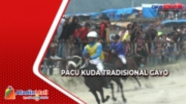 Serunya Tradisi Pacu Kuda Tradisional Gayo di Aceh