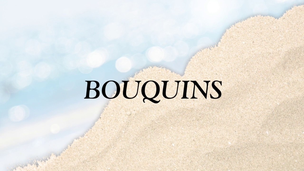 Lectures d'été 2023 | BOUQUINS