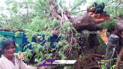 Karimnagar Rains _ Trees Collapse On Tractor _ V6 News