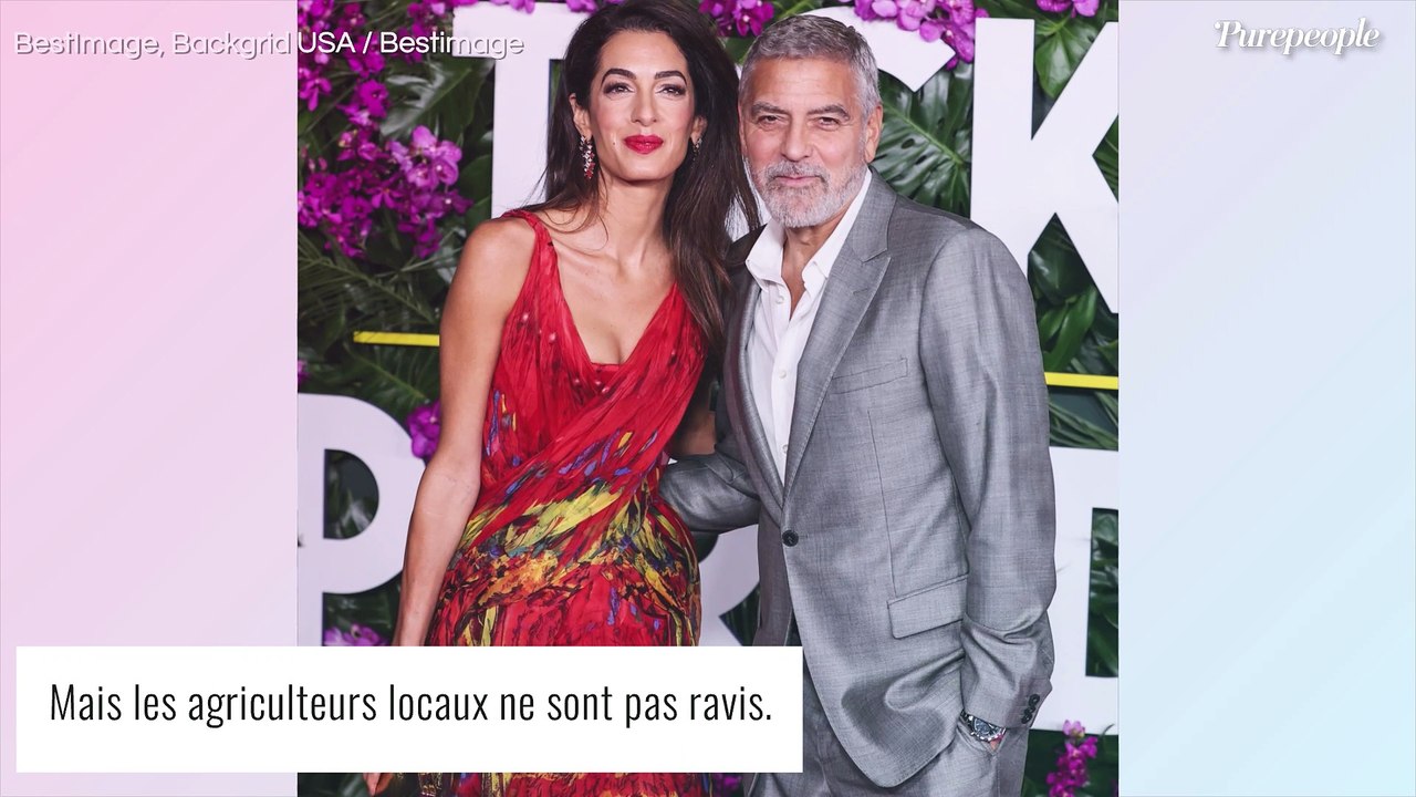 "À part un peu de rosé, il ne fait rien" : La ferme de George Clooney en Provence fait grincer des dents...