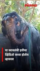 स्वावलंबी हत्ती! स्वत-ची अंघोळ  स्वत-च कशी  करतो बघा...