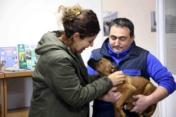 Depremzede aile ile depremzede köpeğin buluşma anı duygulandırdı