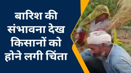 नदबई : मौसम की करवट से किसान होने लगे परेशान, देखिए खबर