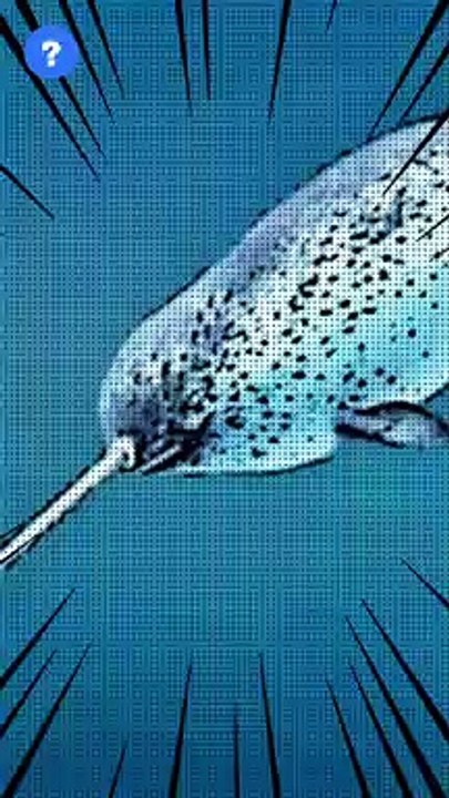 என்ன Narwhal Fish இவ்ளோ நீளமா இருக்குமா? | know This