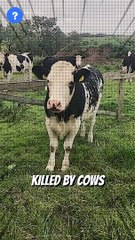 என்ன Shark விட இந்த விலங்கு கொடூரமானதா? | Animal facts