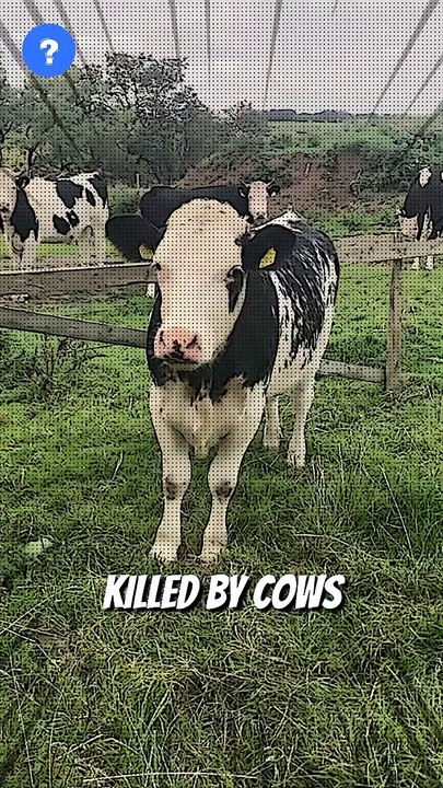 என்ன Shark விட இந்த விலங்கு கொடூரமானதா? | Animal facts