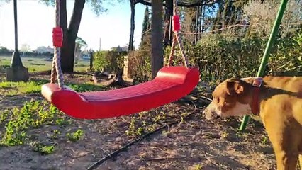 Ejemplo grabación Xiaomi 13 Lite