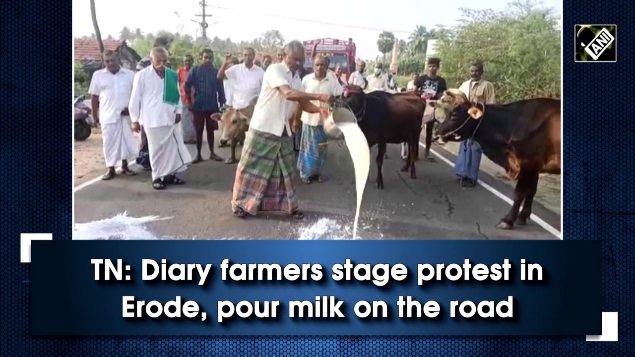 TN: Dairy farmers stage protest in Erode, pour milk on road