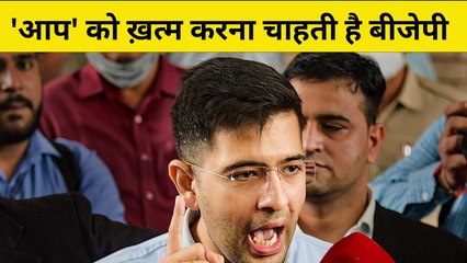 बीजेपी तिलमिलाई हुई है : राघव चड्डा