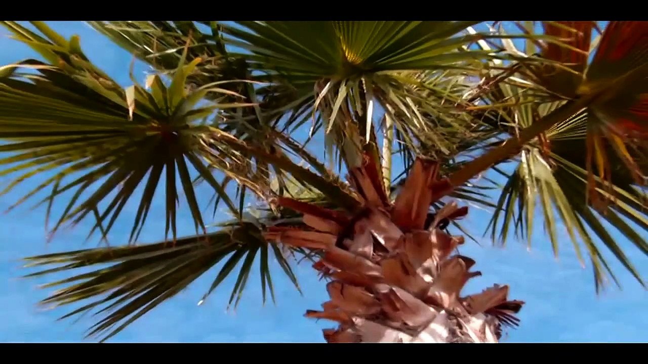 ANNA-CARINA WOITSCHACK — Vielleicht gehör ich zu dir