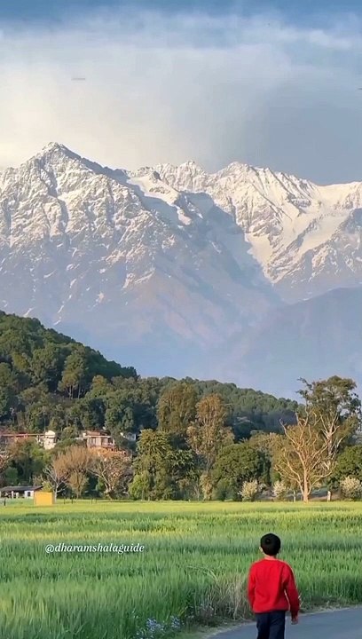 Kangra Valley | Dharamshala Guide