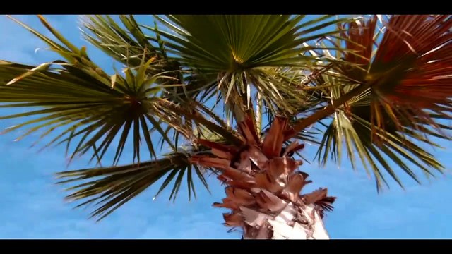 ANNA-CARINA WOITSCHACK — Sag nicht Goodbye zu unsren Träumen (Remix 2012)