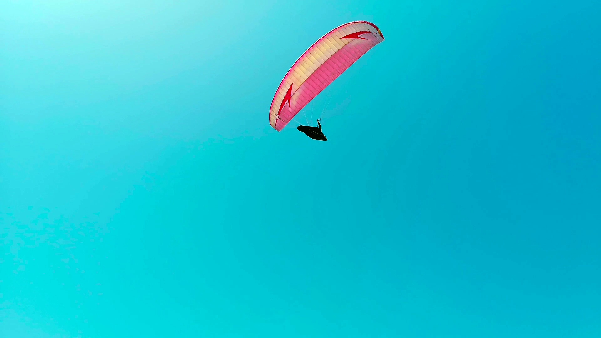 Pexels Videos 2313698.mp4