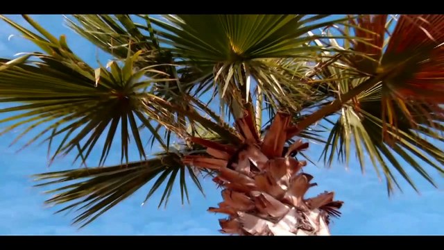 ANNA-CARINA WOITSCHACK — Waren wir der Sonne schon zu nah