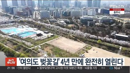 '여의도 벚꽃길' 4년 만에 완전히 열린다