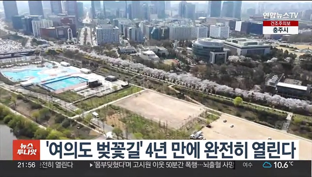 '여의도 벚꽃길' 4년 만에 완전히 열린다