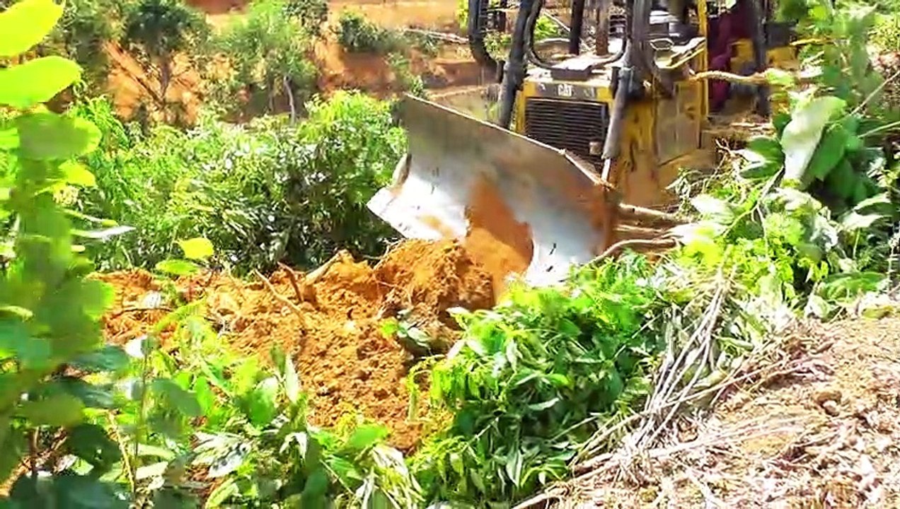 Amazing Worker Bulldozer Operator || Caterpillar D6R XL Bulldozer