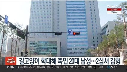 길고양이 학대해 죽인 20대 남성…2심서 감형