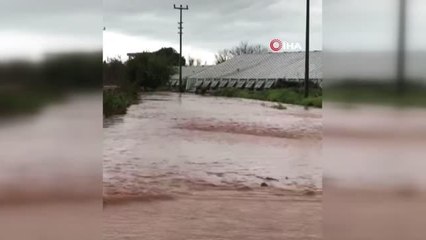 Turuncu kodla uyarılan Antalya'da sağanak ırmakları taşırdı, tarlalar ve yollar göle döndü