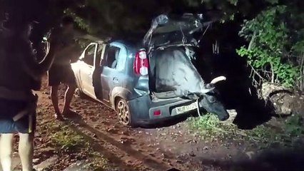 Boi de grande porte é encontrado dentro de carro abandonado em Russas, no Ceará