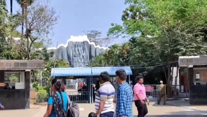 गर्मी में प्यासे नहीं रहें जानवर, वाटर मैनेजमेंट का काम शुरू