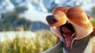Ice Age: Scrat Tales Ice Age: Scrat Tales E001 – Nuts About You