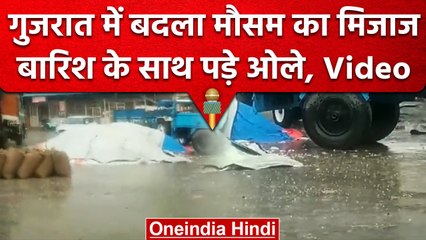 Weather Update: Gujarat में Rain और Hailstorm से बेहाल किसान | वनइंडिया हिंदी