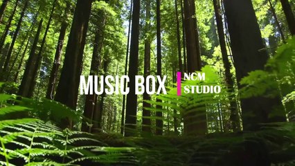 Music Box- Brian Bolger: Cinematic - Romantic Music @NCMaterials