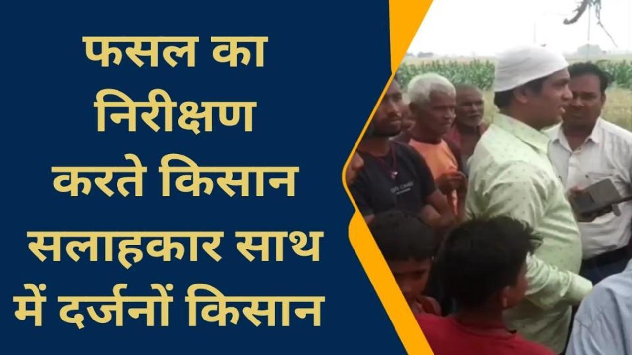 मुंगेर : सैकड़ों एकड़ में लगी गेहूं के फसल सूखने से किसान परेशान, कृषि केन्द्र में लगाई गुहार