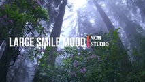 Large Smile Mood- by Nico Staf - Cinematic Music  - Romantic Music @NCMaterials
