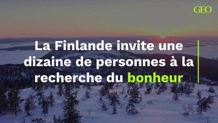 La Finlande invite des personnes à la recherche du bonheur