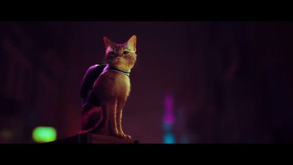Bande-annonce du jeu vidéo Stray