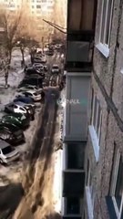 Et oui, les rats ça escalade très très bien