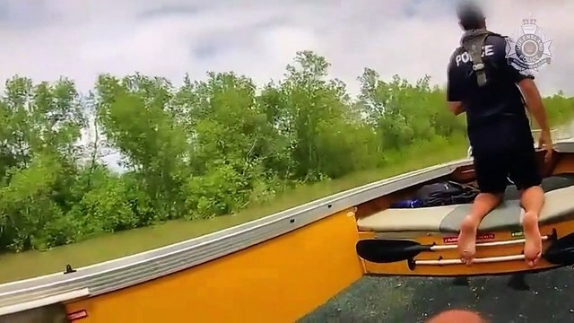 Des policiers sauvent un bébé kangourou perdu dans une rivière