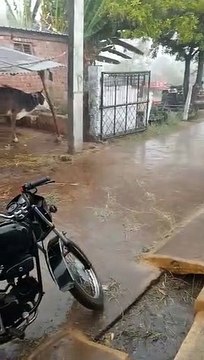 -तापमान में आई तेजी से गिरावट, गेहूं-चने की फसल फिर भीगी