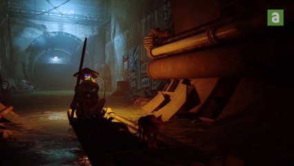Avec Stray, le Floreffois Simon Jacquart se retrouve au firmament du jeu vidéo français et international.