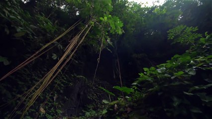 "Discover the Beauty of the Jungle: Small Waterfall with Attractive Flow"