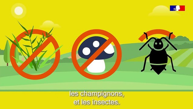 Où se trouvent les pesticides ?