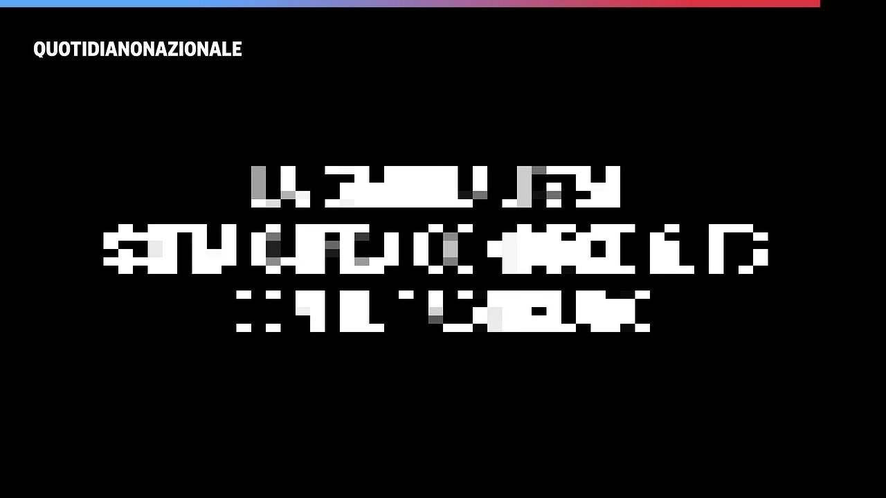 La giornalista Sofia Ojeda conduce il tg con il cagnolino