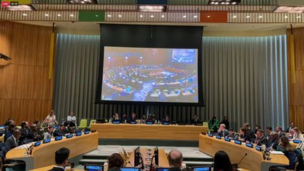 유엔 안보리 북 인권 비공개 회의 "인권침해, 무기 개발과 직결" / YTN