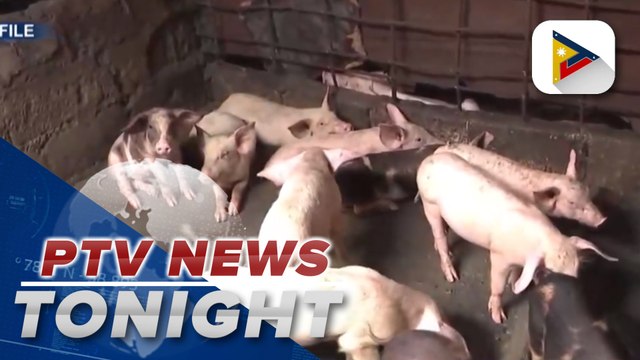 DA urges public to avoid transporting pork products amid ASF threat in Cebu