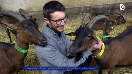 Reportage - Ferme des Maquis : première ferme métropolitaine de Grenoble !