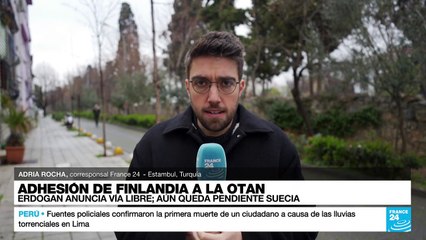 Informe desde Estambul: Erdogan da via libre a adhesión de Finlandia a la OTAN
