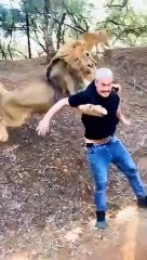 Tiger Attack  Man | खूंखार टाइगर  ने दबोचा इस शख्स को