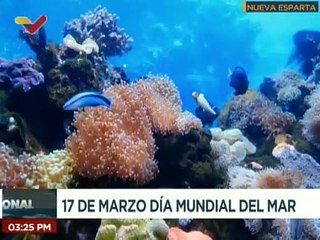 Nueva Esparta | Celebran el Día Mundial del Mar, para concientizar, fomentar y educar