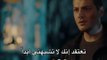 إعلان مسلسل طيور النار الحلقة 8 مترجم للعربية